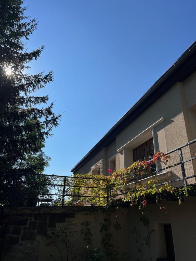 Vila Bellevue Jablonec nad Nisou Exterior photo